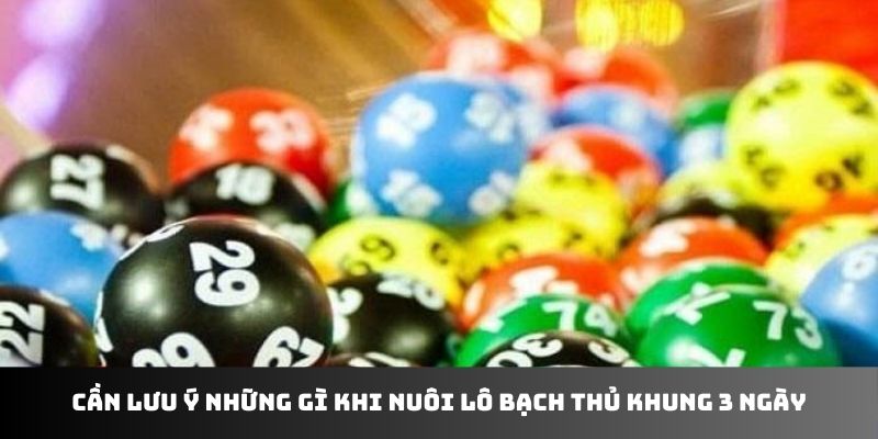 Cần lưu ý những gì khi nuôi lô bạch thủ khung 3 ngày