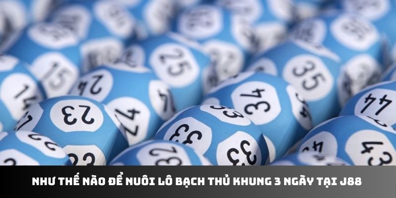 Như thế nào để nuôi lô bạch thủ khung 3 ngày tại J88