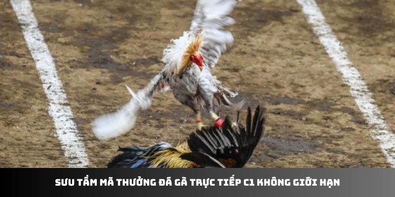 Sưu tầm mã thưởng đá gà trực tiếp C1 không giới hạn