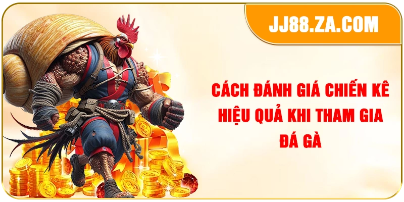 Cách đánh giá chiến kê hiệu quả khi tham gia đá gà