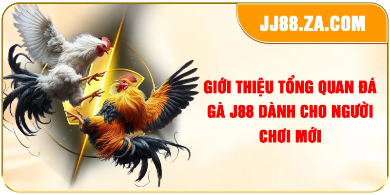 Giới thiệu tổng quan đá gà J88 dành cho người chơi mới