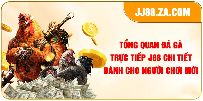 Tổng quan đá gà trực tiếp J88 chi tiết dành cho người chơi mới
