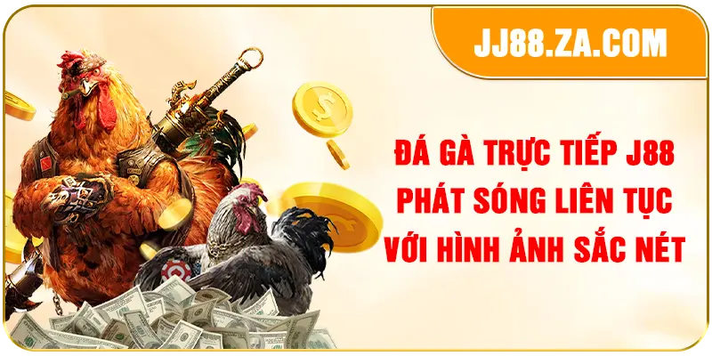 Đá gà trực tiếp J88 phát sóng liên tục với hình ảnh sắc nét